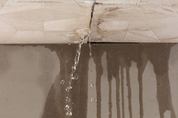 Professional Structural Drying technician working in Monhegan, ME
